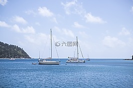 游艇,船,海
