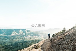 高原,山,樹