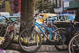 自行車,停車,目睹