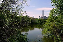 城市,湖,綠色