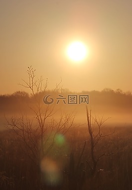 有霧,上午,日出