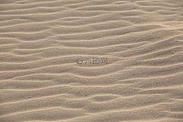 沙,沙丘,w