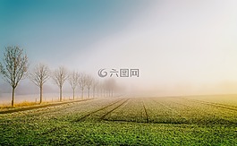 日出,德國,原野
