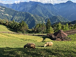 大自然,山,景觀
