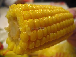 玉米,食品,肯德基玉米