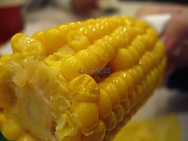 玉米,食品,肯德基玉米