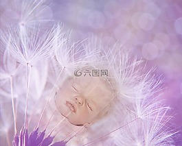 內(nèi)心的孩子,孩子,嬰兒