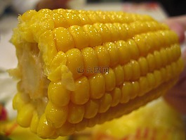 玉米,食品,肯德基玉米