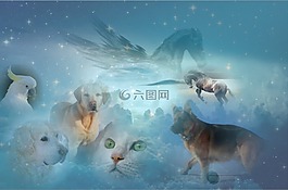 超越,動物,狗