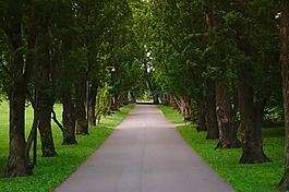 清潔,綠色,草