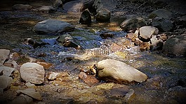 河,水,平靜