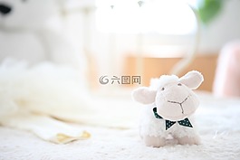 娃娃,楊,玩具