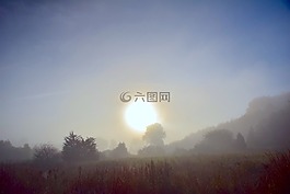 霧,上午,自然