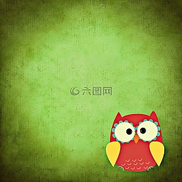 貓頭鷹,豐富多彩,滑稽
