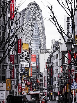 結(jié)構(gòu),建設(shè),基礎(chǔ)設(shè)施