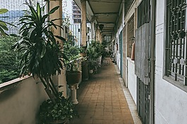 建設(shè),房子,目睹