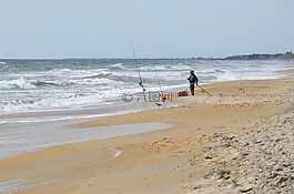 冲浪钓鱼,渔,海洋