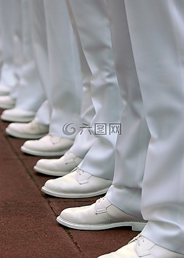 軍事,檢驗,海軍