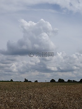 字段,云,云山脈