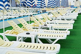 日光浴,池,黃色