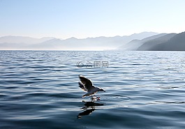 瀘沽湖,秋日,高原