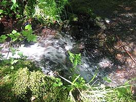 水,源,拖放