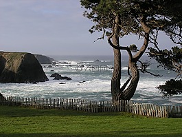 海洋,海景,景觀