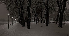 公園,冬天,冷