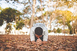 叶,秋天,秋