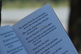 文本,書,頁面