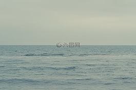 海,海洋,水