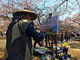 櫻花,春,日本