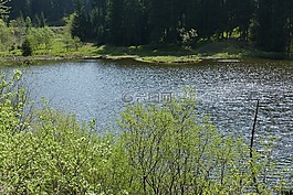 grumbach池塘,湖,水