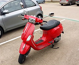 黑盾胡蜂,涼,摩托車