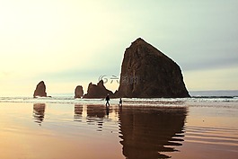 海,海洋,水