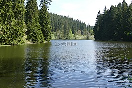 grumbach池塘,湖,水