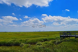 馬什,河口,水