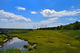 馬什,河口,水