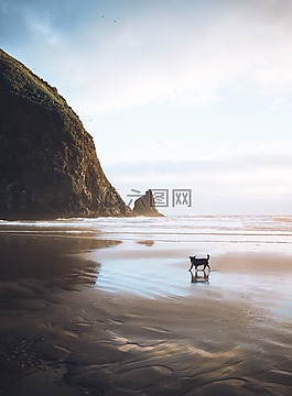 海,海洋,水
