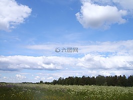 天空,花序,性質