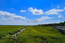 馬什,河口,水