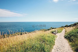 海,海洋,水