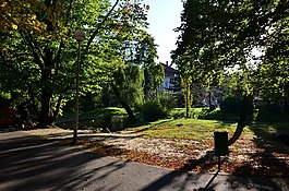 公園,秋,樹(shù)