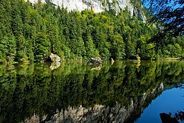 bergisteiner 見,湖,森林