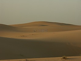 沙漠,沙,沙丘
