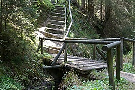 橋,木,老