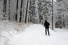 雪,冬天,冷