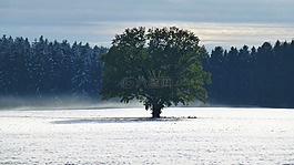 阿爾高,秋季,雪