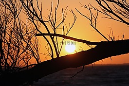 日落,abendstimmung,海