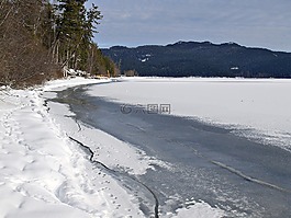冬天,風景,樹
